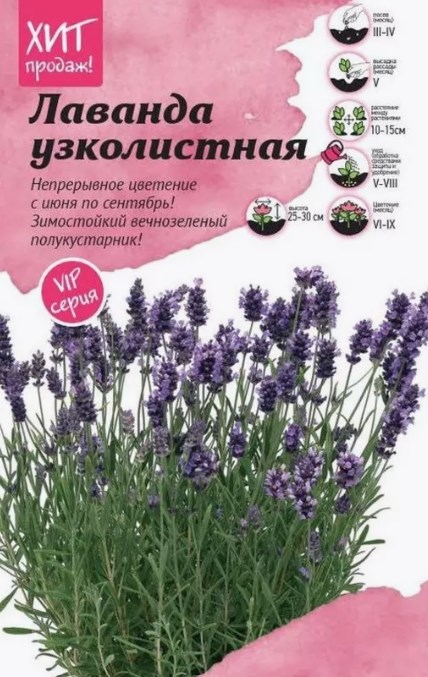 Лаванда_Элеганс Пурпл (узколистная)_0,04_шт._АгроСидсТрейд