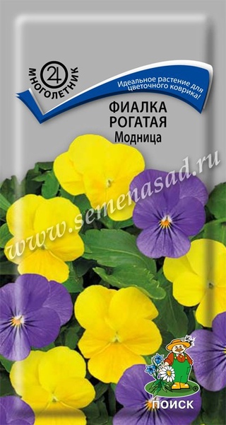 Фиалка_Модница см (рогатая)_0,1_г._Поиск