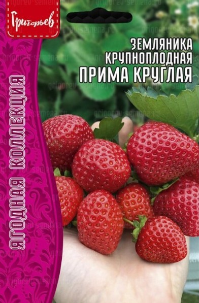 Земляника_Прима Круглая (крупноплодная) б/ф_20_шт._Григорьев