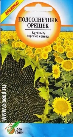 Подсолнечник_Орешек_50_шт._Дом Семян С-П