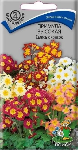 Примула_Высокая см_0,04_г._Поиск