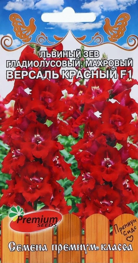 Львиный зев (антирринум)_Версаль F1 Красный (гладиолусовый, махровый)_5_шт._Премиум Сидс