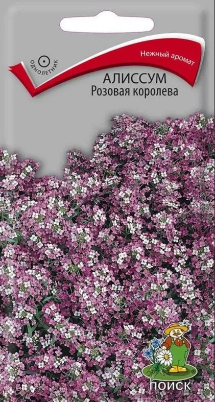 Алиссум (лобулярия)_Розовая Королева_0,3_г._Поиск