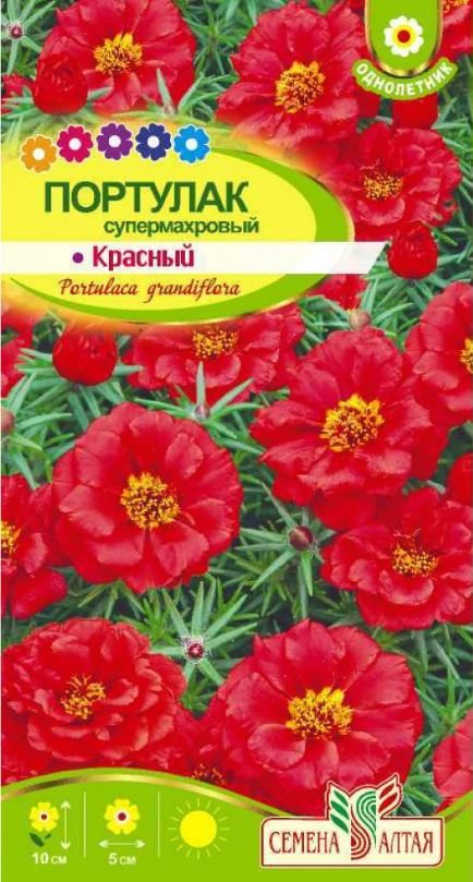 Портулак_Супермахровый Красный_0,04_г._Семена Алтая