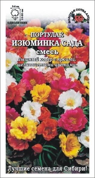 Портулак_Изюминка сада махр см_0,1_г._Золотая Сотка Алтая