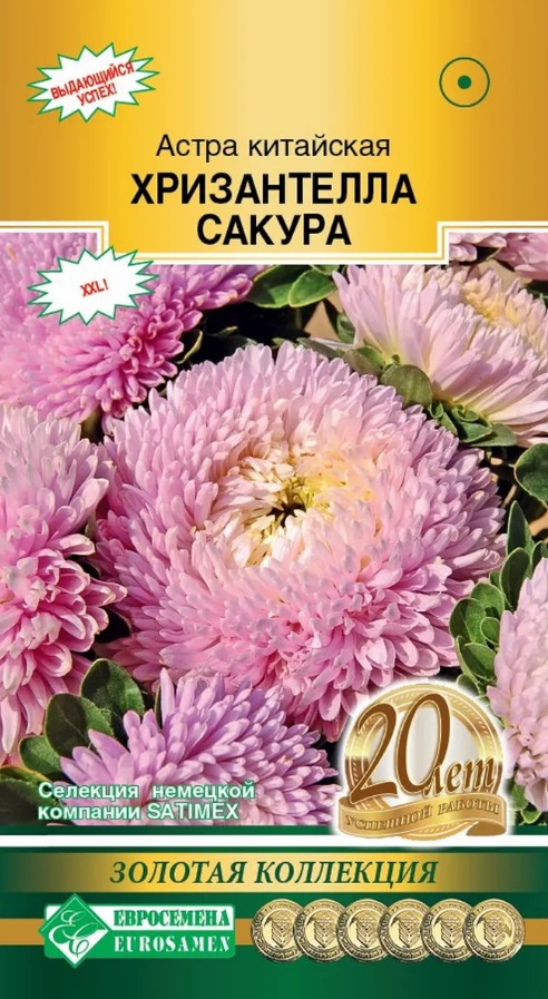 Астра_Хризантелла Сакура (Золотая Коллекция)_5_шт._ЕВРОСЕМЕНА