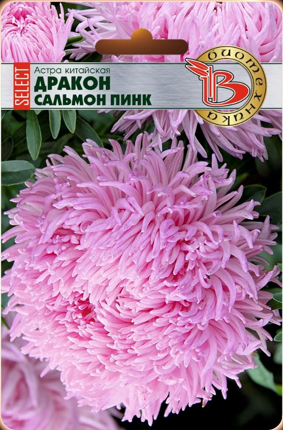 Астра_Дракон Селект Сальмон Пинк (хризантемовидная)_30_шт._Биотехника