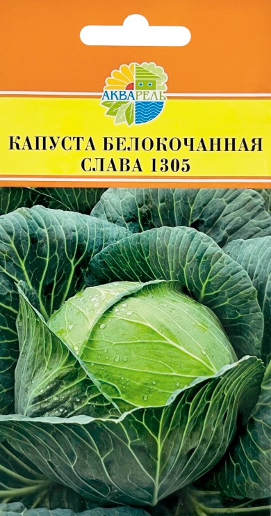 Капуста_б/к_Слава 1305_0,5_г._Акварель