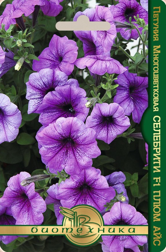 Петуния_Селебрити F1 Плюм Айс_15_шт._Биотехника
