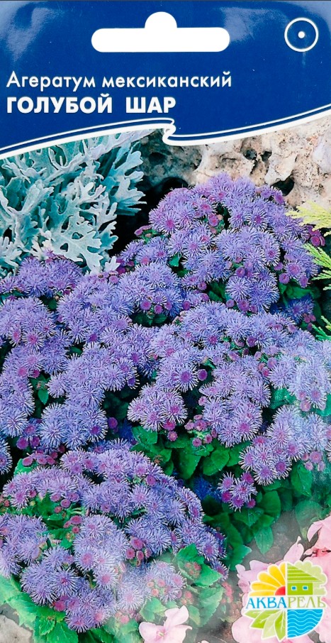 Агератум_Голубой Шар_0,1_г._Акварель