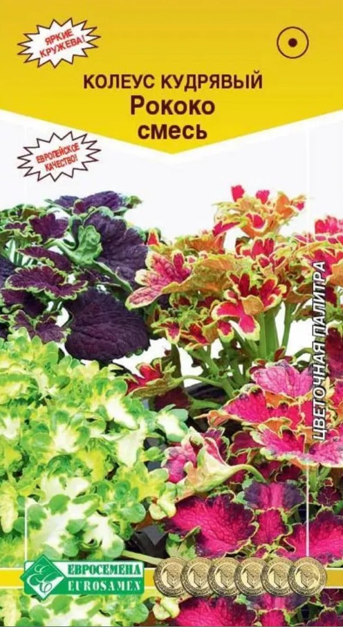 Колеус_Рококо см (кудрявый) (Цветочная Палитра)_15_шт._ЕВРОСЕМЕНА