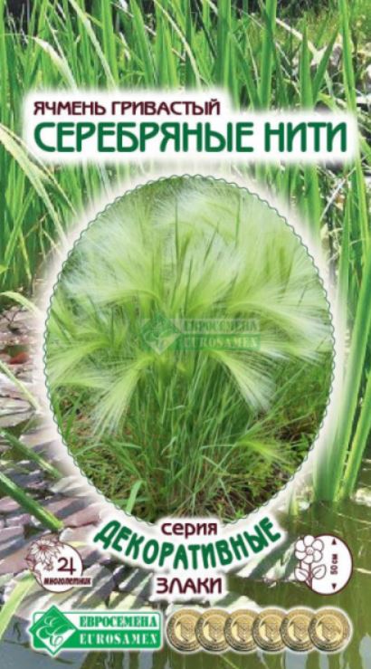 Ячмень_Серебряные Нити (Декоративные Злаки)_0,1_г._ЕВРОСЕМЕНА