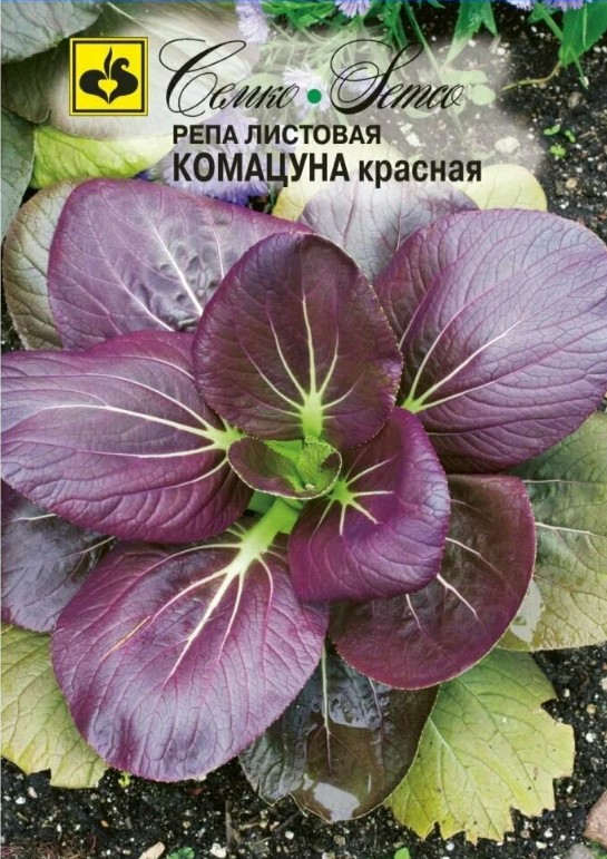 Репа листовая (шпинат японский)_Комацуна красная_1_г._Семко
