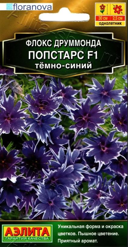Флокс_Попстарс F1 Тёмно-Синий (Floranova Золотая серия)_0,04_шт._Аэлита