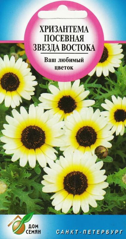 Хризантема_Звезда Востока_0,04_шт._Дом Семян С-П