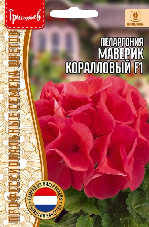 Герань (Пеларгония)_Маверик Коралловый F1 б/ф_3_шт._Григорьев