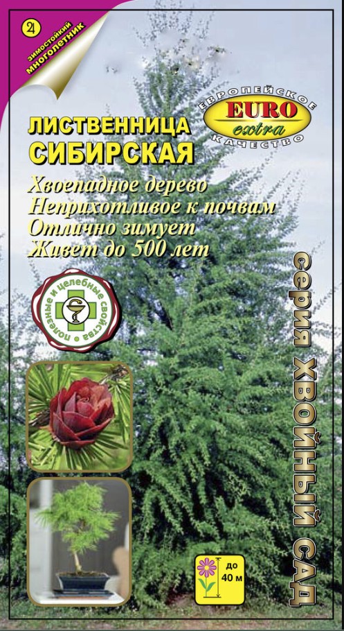 Лиственница_Сибирская_0,1_г._Аэлита Э