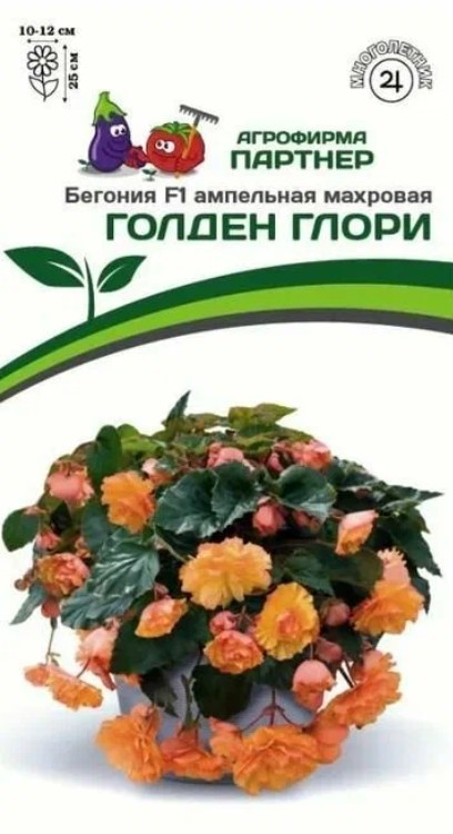 Бегония_Голден Глори F1 (амп махр клубн)_5_шт._Партнер