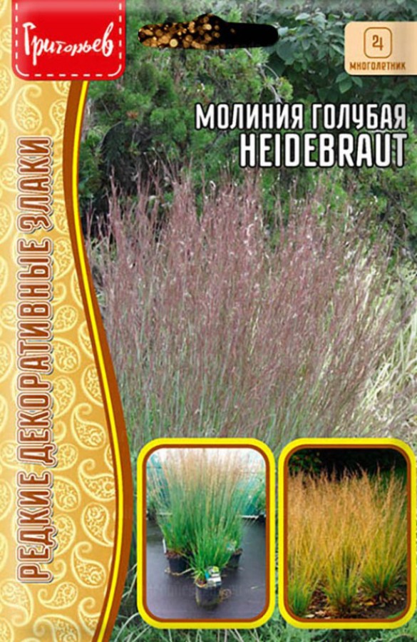 Молиния_Голубая (Heidebraut) (злак) б/ф_20_шт._Григорьев