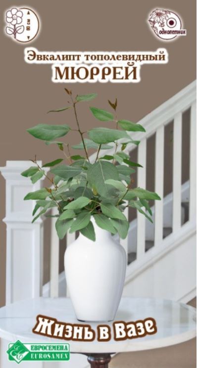 Эвкалипт_Мюррей (тополевидный) (Жизнь в вазе)_3_шт._ЕВРОСЕМЕНА