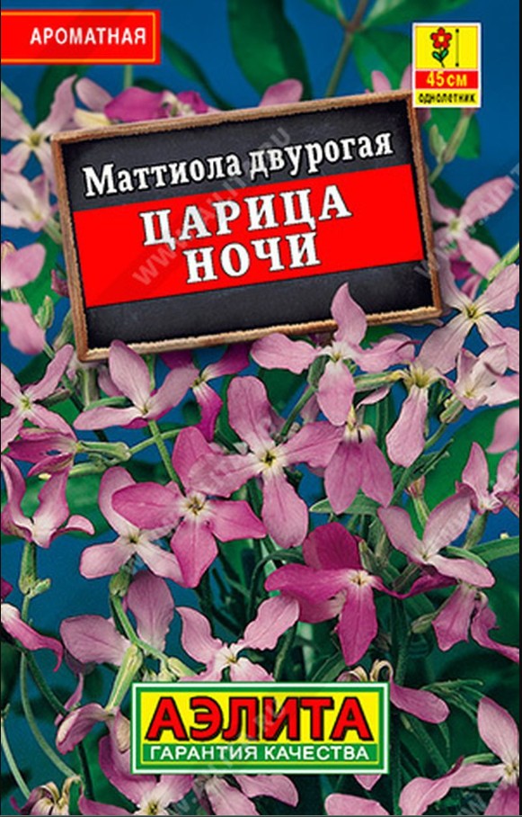 Маттиола_Царица Ночи лидер_0,5_г._Аэлита