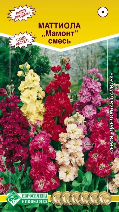 Левкой (маттиола)_Мамонт см (Цветочная Палитра)_0,04_г._ЕВРОСЕМЕНА
