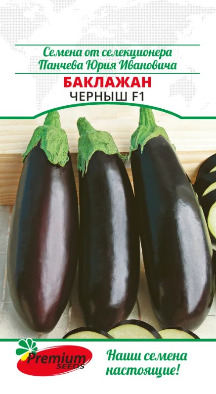 Баклажан_Черныш F1 (Семена от селекционера Панчева Ю.И.)_0,05_г._Премиум Сидс