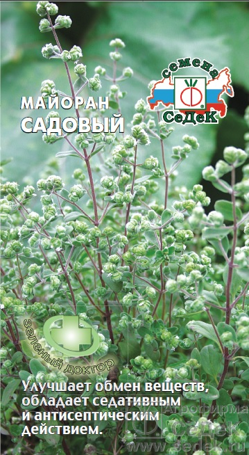Майоран_Садовый_0,1_г._Седек