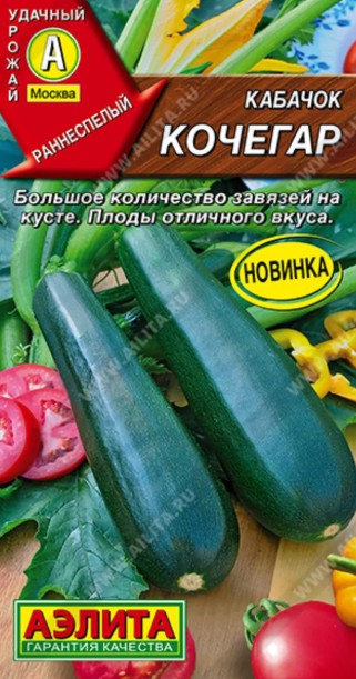 Кабачок_Кочегар_1_г._Аэлита