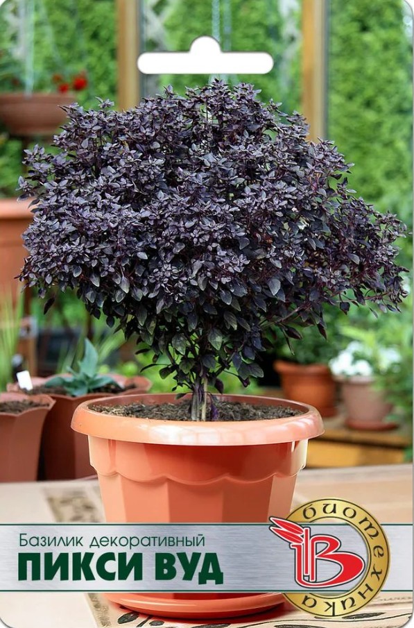 Базилик_Пикси Вуд (фиолетовый декор съедобный)_15_шт._Биотехника
