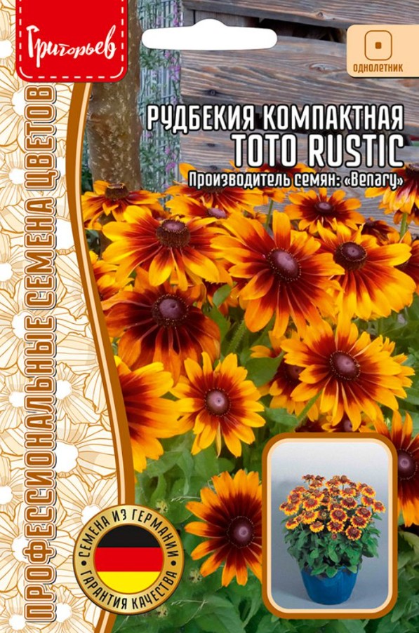 Рудбекия_Тото Рустик (Toto Rustic) б/ф_5_шт._Григорьев