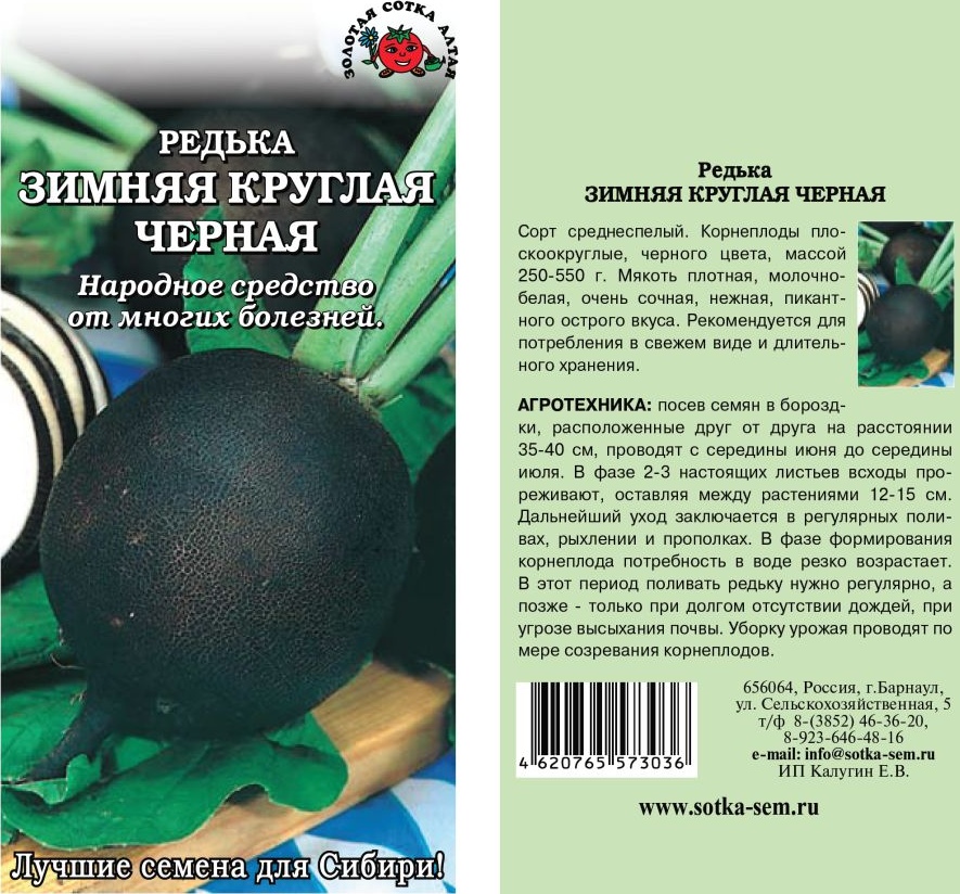 Редька_Зимняя кругл черная_2_г._Золотая Сотка Алтая