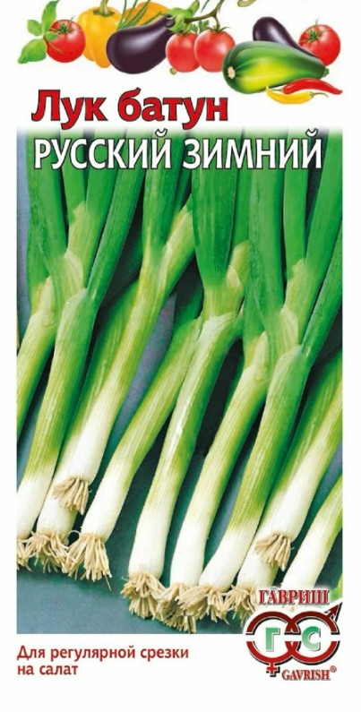 Лук_Русский Зимний батун (многолетний)  Б/П_0,5_г._Гавриш