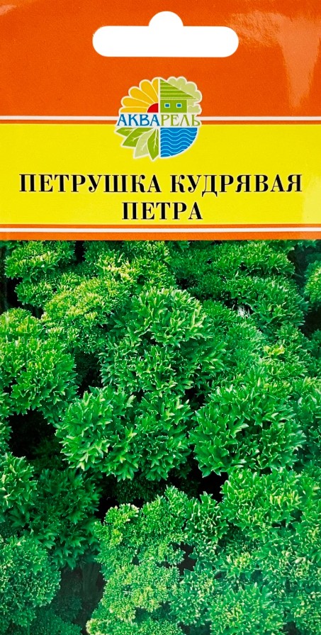 Петрушка_Петра (кудрявая)_1,5_г._Акварель