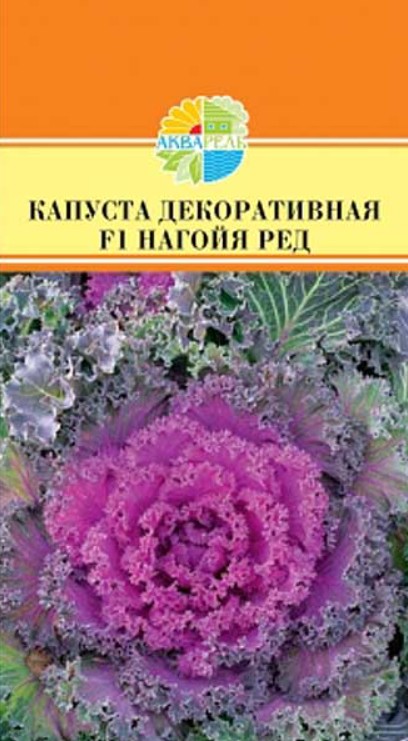 Капуста_декоративная_Нагойя Ред F1_10_шт._Акварель
