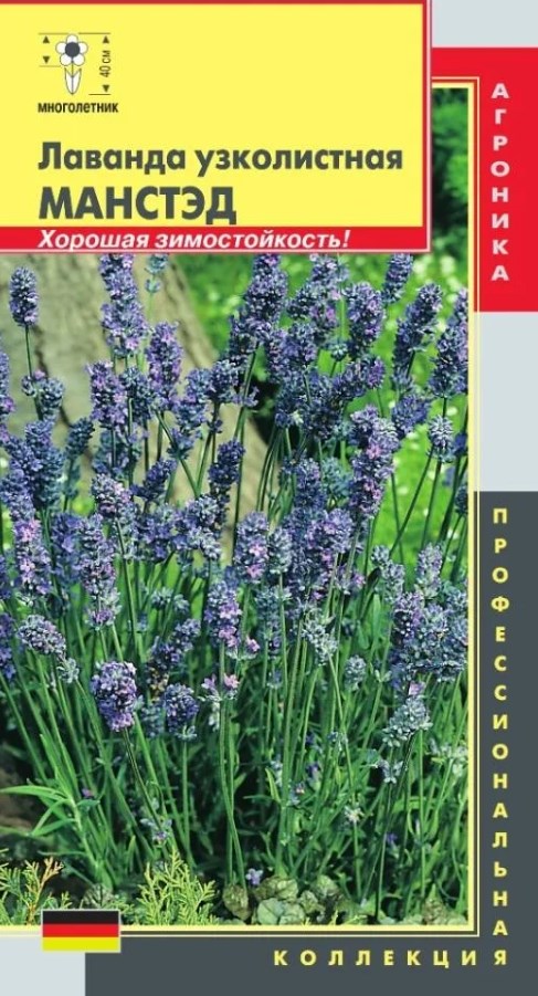 Лаванда_Манстэд (узколистная)_0,04_шт._Плазменные семена
