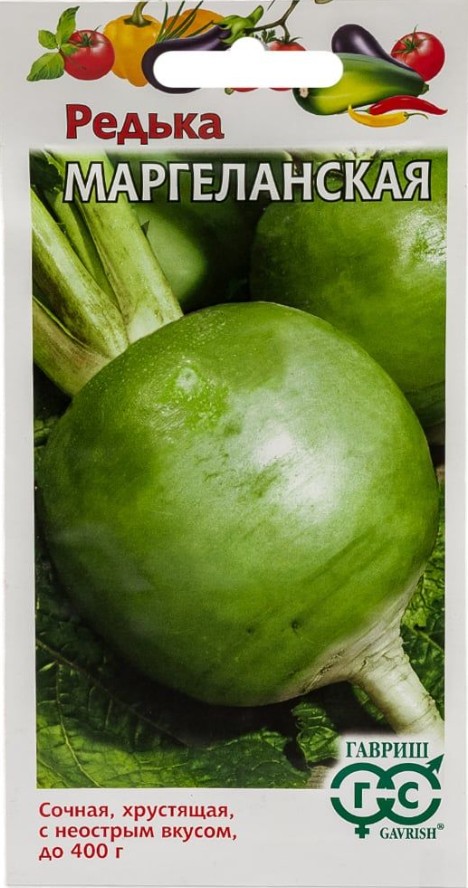 Редька_Маргеланская зелен_1_г._Гавриш