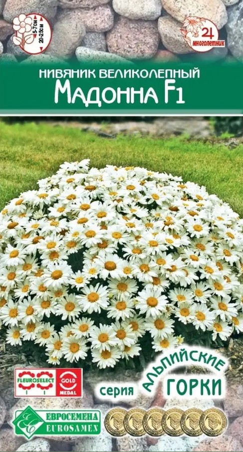 Нивяник_Мадонна F1 (Альпийская Горка)_5_шт._ЕВРОСЕМЕНА