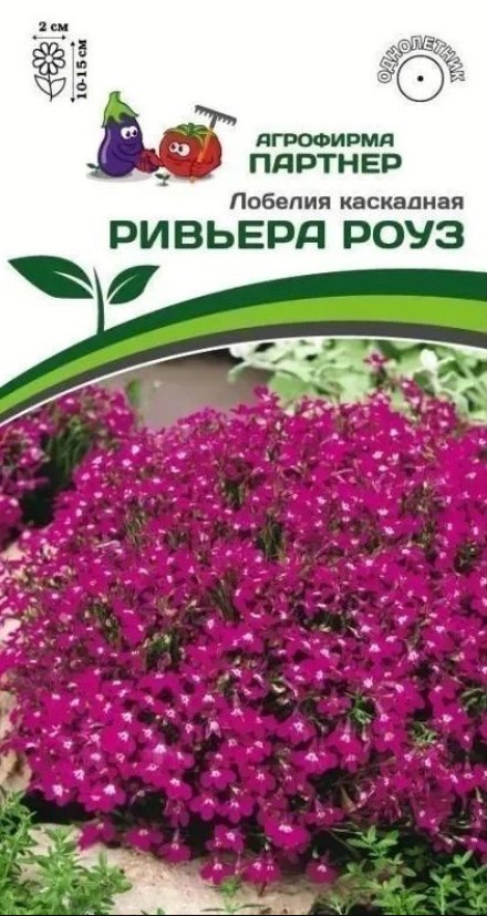 Лобелия_Ривьера Роуз_10_шт._Партнер