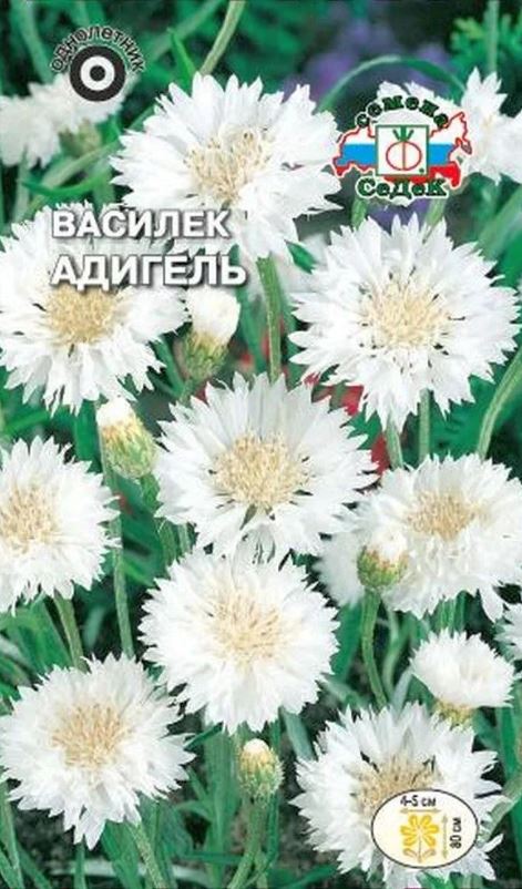 Василек_Адигель (белый)_0,04_г._Седек