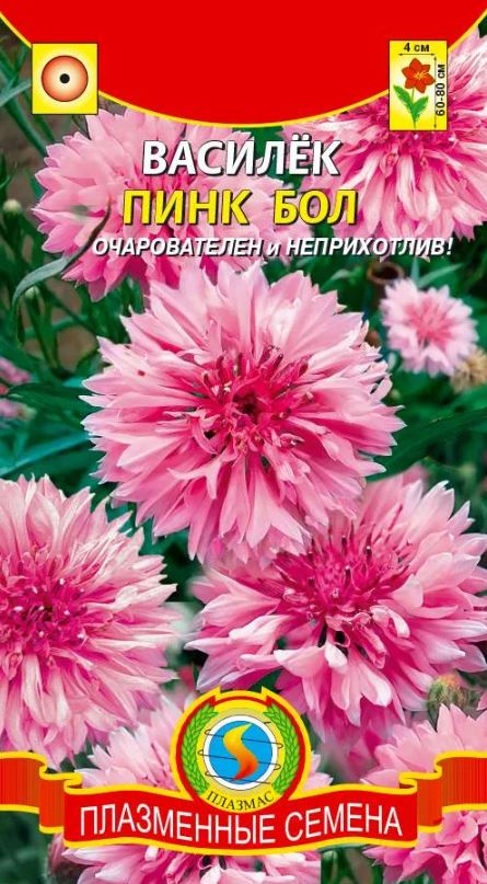 Василек_Розовый Пинк бол_0,04_г._Плазменные семена