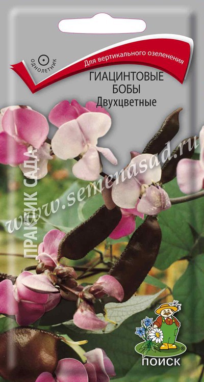 Бобы_Гиацинтовые (долихос) Двухцветные_1_г._Поиск