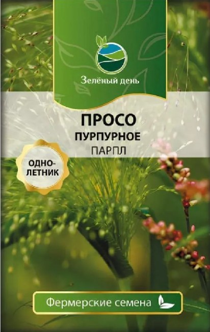 Просо декоративное_Пурпурное Парпл (злак) б/ф_80_шт._Григорьев