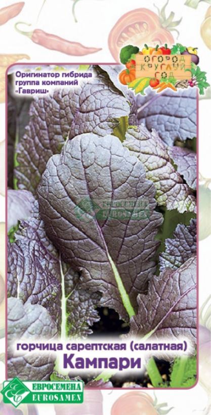 Горчица_Кампари (Огород круглый год)_0,04_г._ЕВРОСЕМЕНА