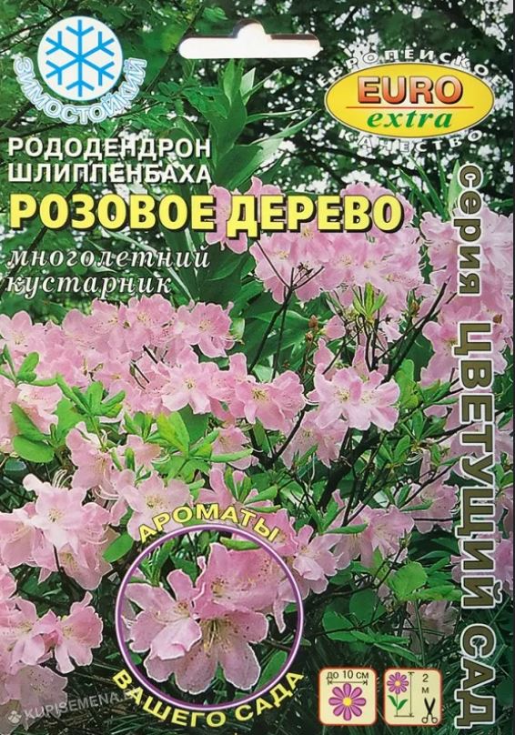 Рододендрон_Розовое дерево шлиппенбаха б/ф_0,04_г._Аэлита Э