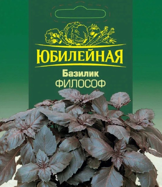 Базилик_Философ (мелколистный фиолетовый) б/ф_1_г._Григорьев