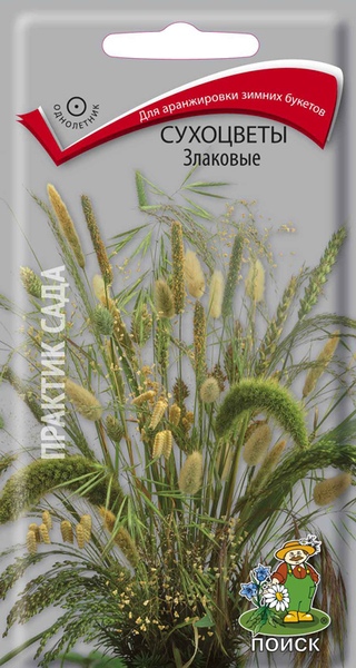 Смесь_Сухоцветы злаковые_0,3_г._Поиск