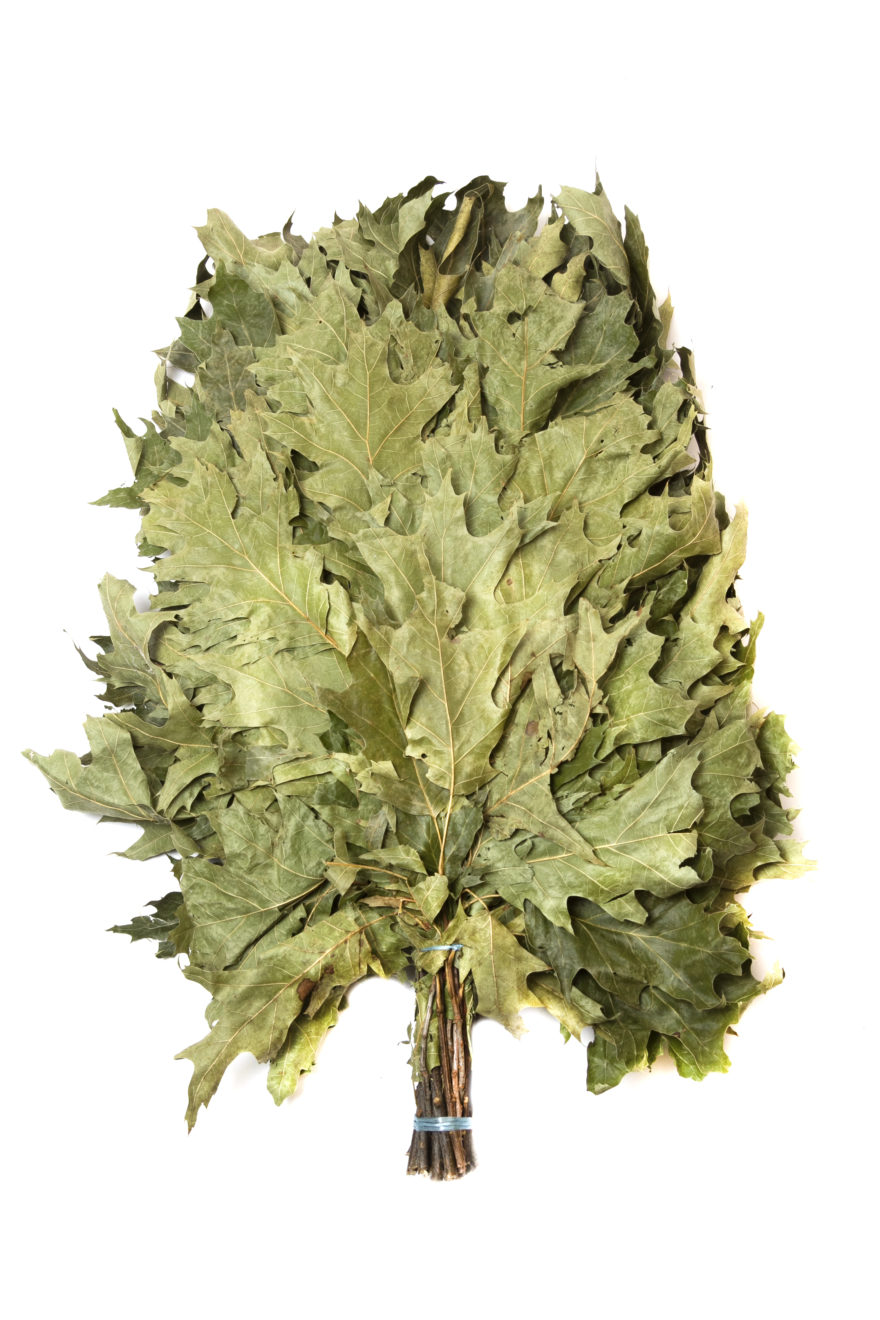 Веник дубовый КАНАДСКИЙ ПРОМО