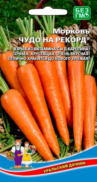Морковь_Чудо на рекорд_0,04_г._Уральский Дачник