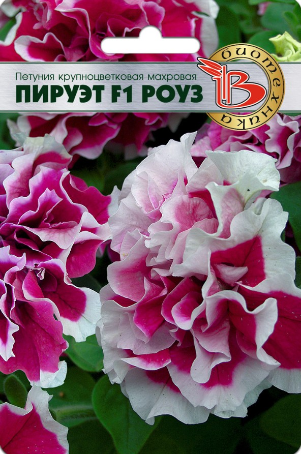 Петуния_Пируэт F1 Роуз (махр)_10_шт._Биотехника